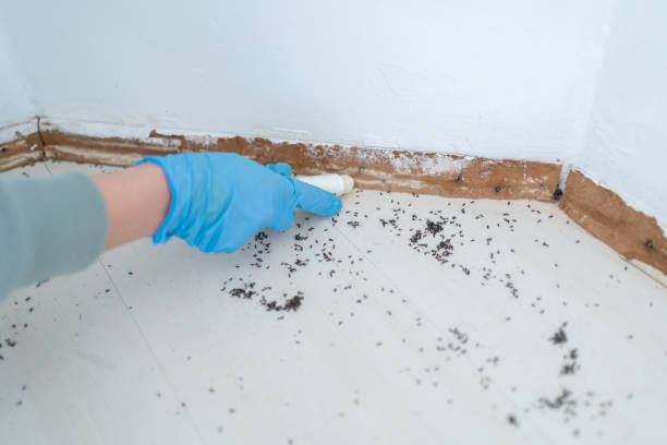 Best Pest Control for Multi-Family Homes  in Winterville, GA